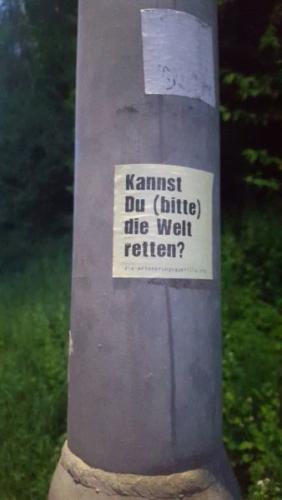 20170505_Iw_Buggingen-b4b30d57