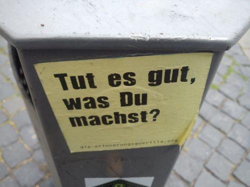 20140716 BraunschweigInnenstadt Erbse-f950dcf5