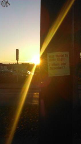 20141107 Suderburg Pusteblume-c716382f