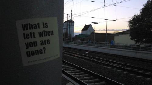 20141107 Suderburg Pusteblume2-f799a932