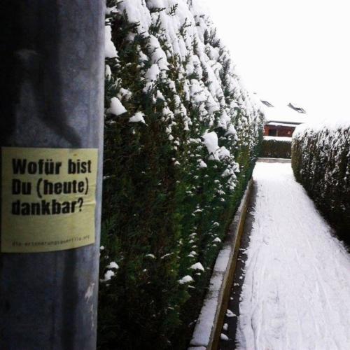 20141230 Ilsfeld Timo-d93307f5