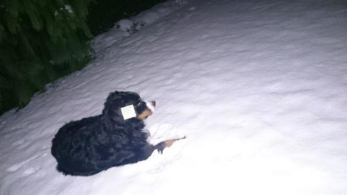 20150127 Augsburg LittleMissLil (Large).JPG-3b468a9b