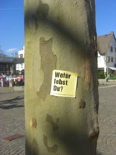 20150513 Oberursel Klassenarbeit (15).JPG-7223cbdf