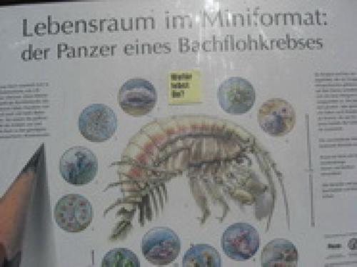 20150513 Oberursel Klassenarbeit (46).JPG-44973331