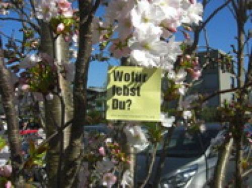 20150513 Oberursel Klassenarbeit (7).JPG-8eefb868