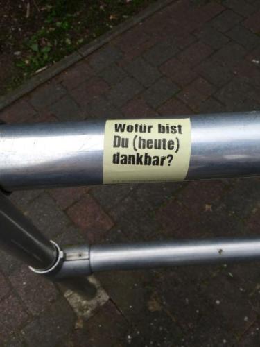 20150627 SaraJo (3) (Large).JPG-e4569d89