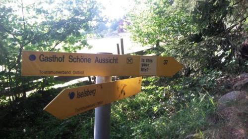 20150717 Oesterreich2 Querdenkerin-d1dfbb58