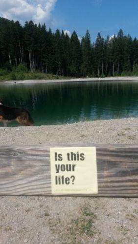 20150717 Oesterreich Querdenkerin-0fa5c789