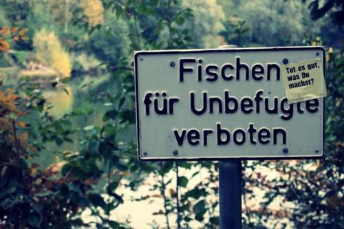 20151016 Ravensburg Dready.JPG-b2ff79d6