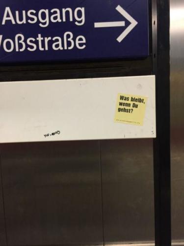 20151021 SaraJo (Large).JPG-37e56e01