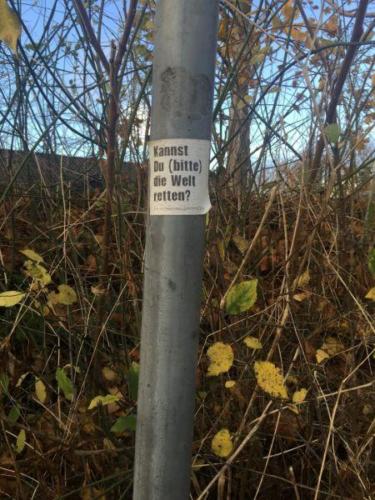 20151112 SaraJo (Large).JPG-fc7b9b06