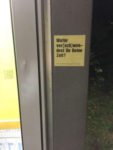 20151221 SaraJo (1) (Large).JPG-bfd98cde