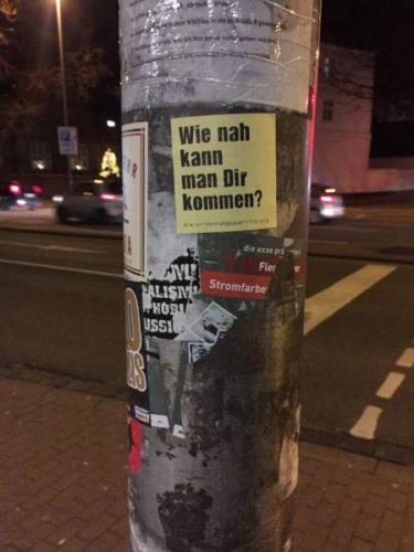 20151221 SaraJo (3) (Large).JPG-5880f2ac