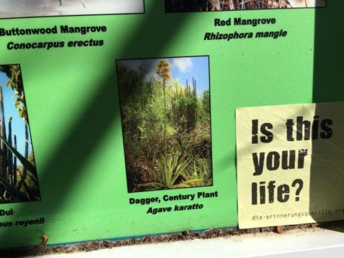 20160110 Karibik Birgit-86f44916