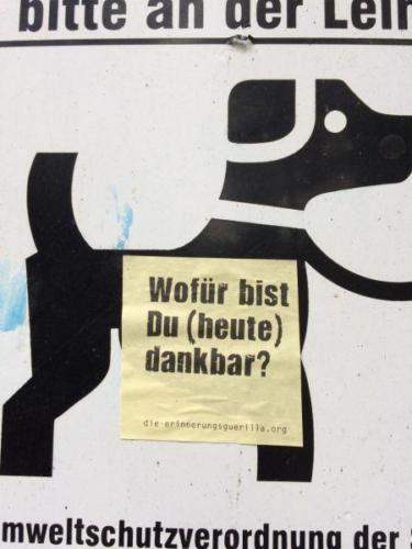 20161014 Sindelfingen Persephone (Large).JPG-893a3c9d