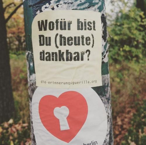 20161107 ArnimplatzPankow grrille (Large)-7a6725cb