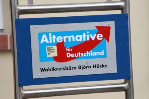 20161120 MuehlhausenThueringen Holunder (Large)-012a49b7