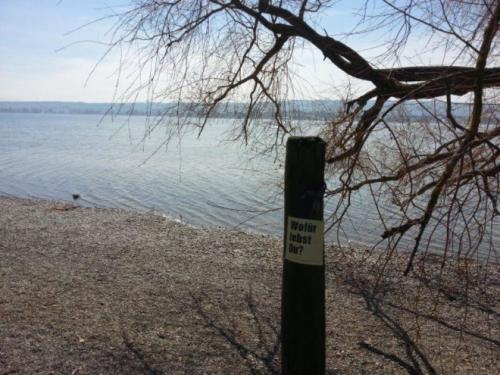 Bodensee Ezequiel-20140329 (Small)-3309e0c9