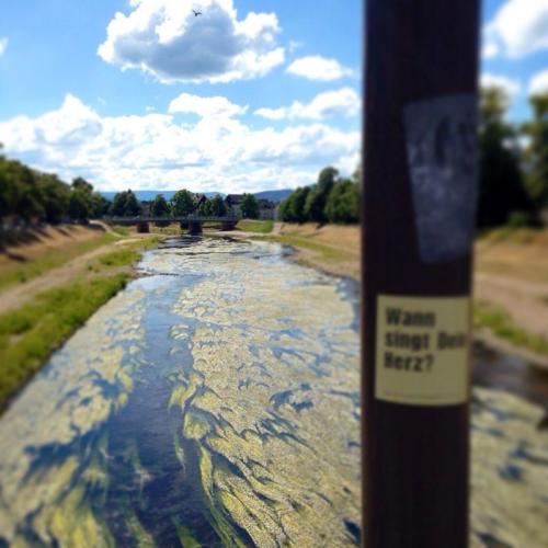 JuliusDe 05 (Large).JPG-49fabd54