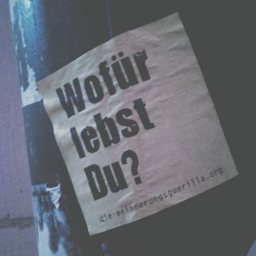 Passau einhaufenelend 140331-15b6a021